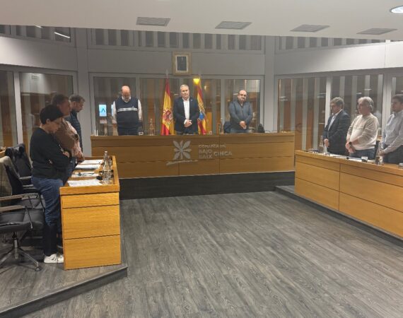 pleno comarca noviembre