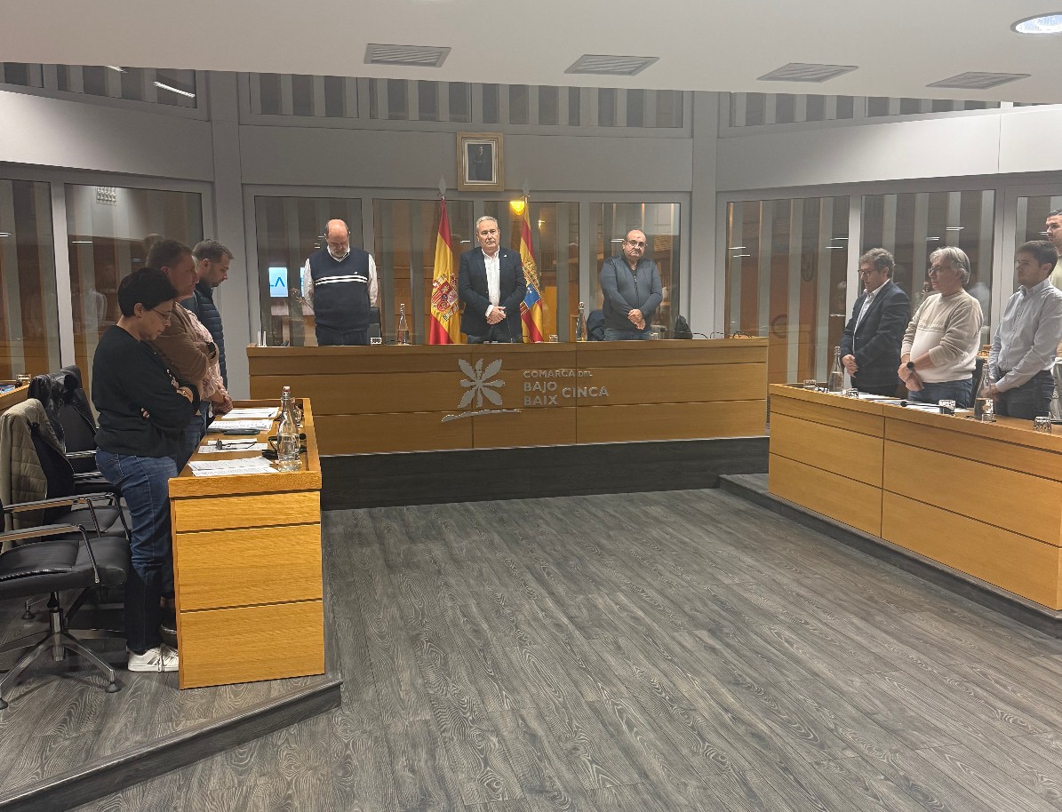 pleno comarca noviembre