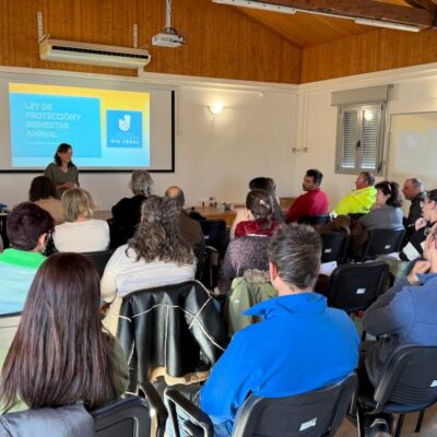 La Diputación de Huesca apoyará a los ayuntamientos en la gestión de colonias felinas