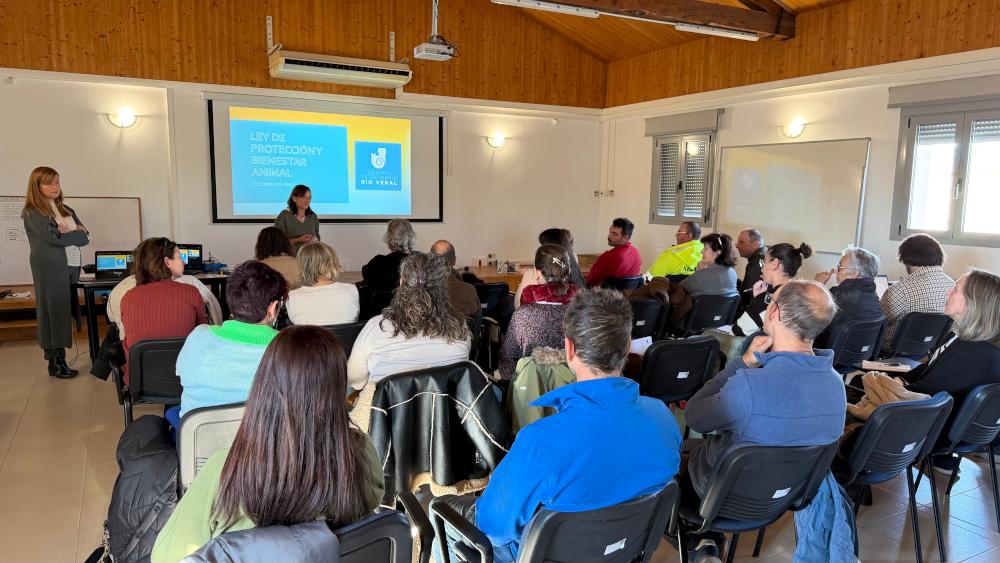 La Diputación de Huesca apoyará a los ayuntamientos en la gestión de colonias felinas