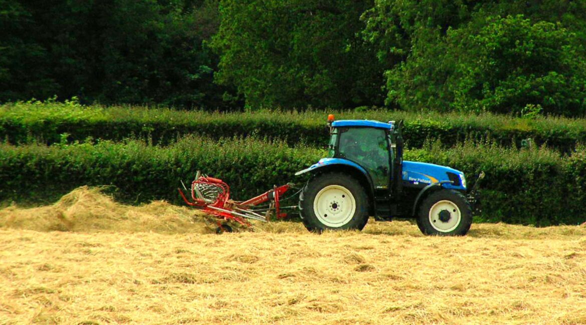¿Conoces el programa Mujeres rurales en Aragón?