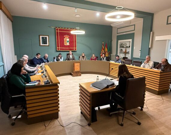 Pleno Ordinario Enero