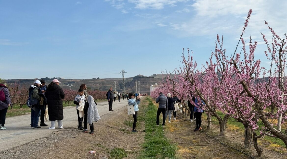 La IX Ruta de la Floración de Fraga amplía rutas y ofrece más opciones de recorrido