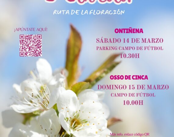 COMARCA EN COLOR FLORACION 26