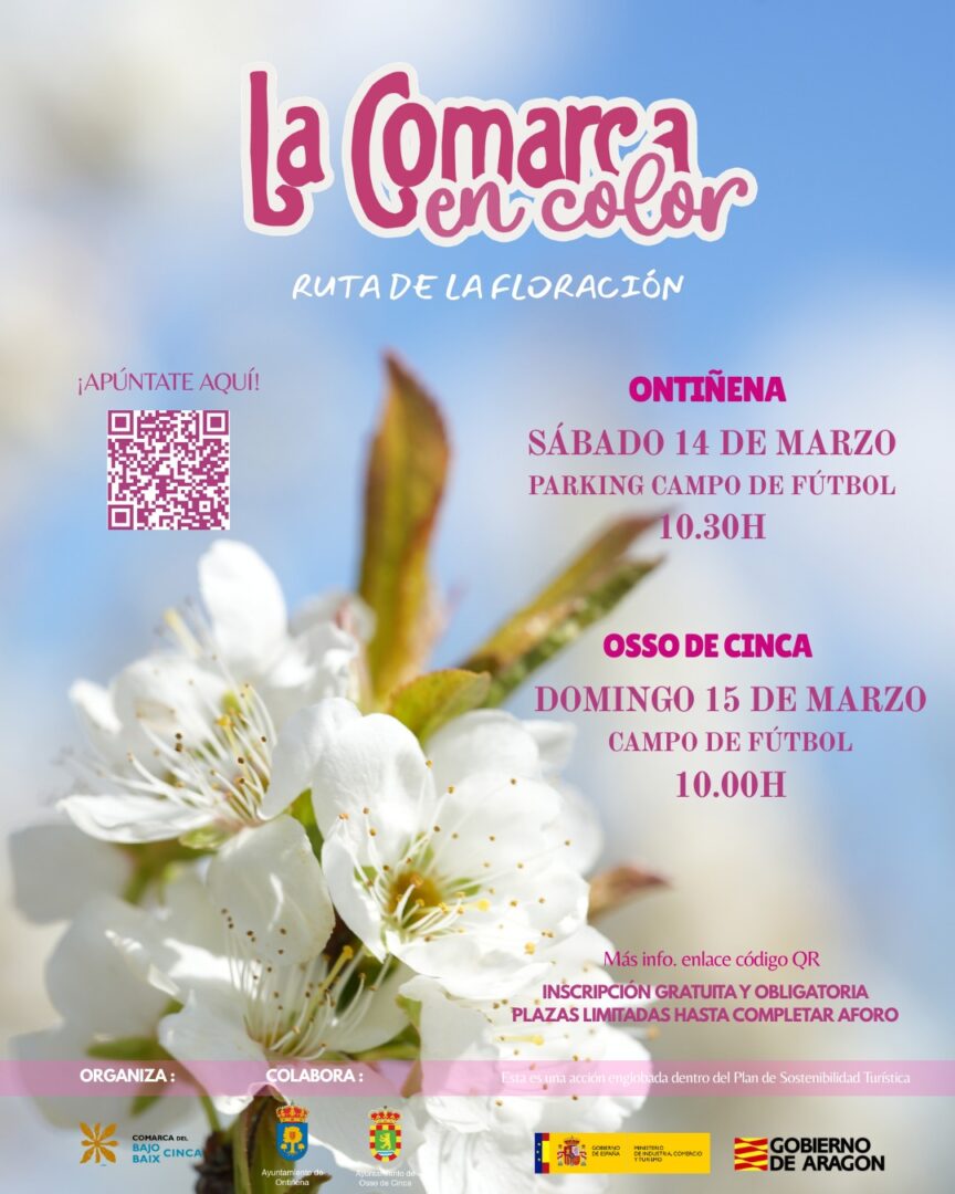 COMARCA EN COLOR FLORACION 26