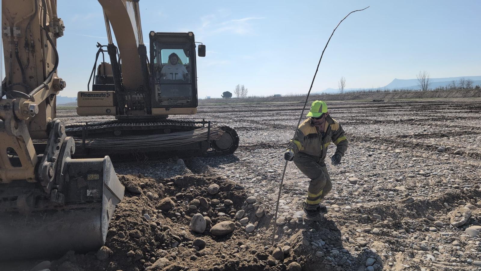 Replantación zona norte Cinca Revive