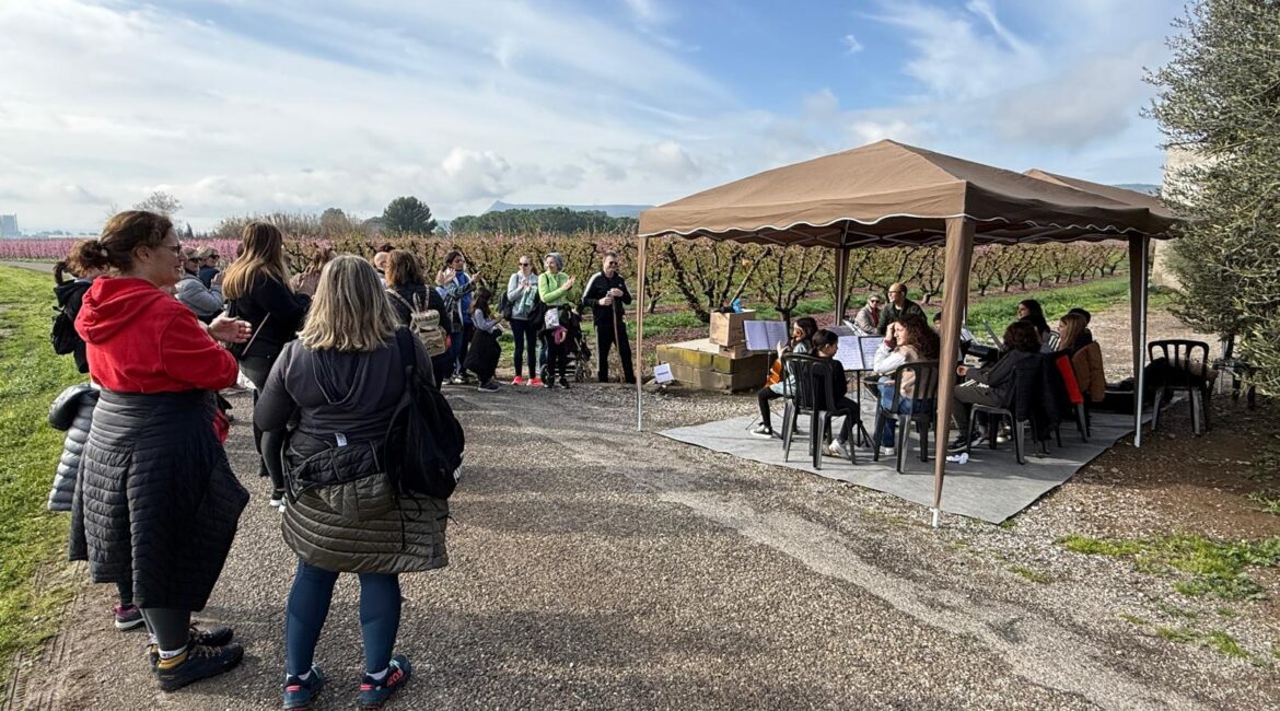 Más de 800 personas disfrutan de la belleza de la floración en Fraga
