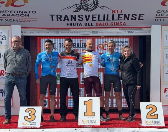 btt transvelillense