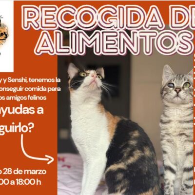 Recogida solidaria de alimentos de Maullidos Fraga este sábado 28 de marzo