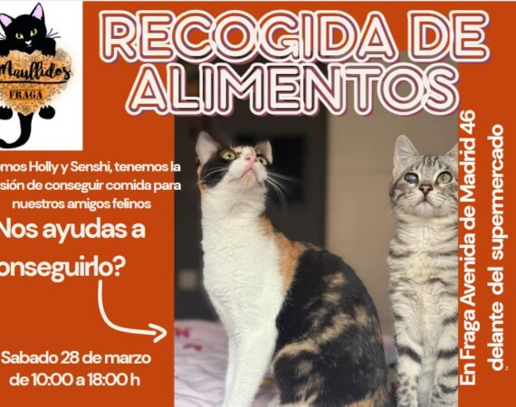 Recogida solidaria de alimentos de Maullidos Fraga este sábado 28 de marzo