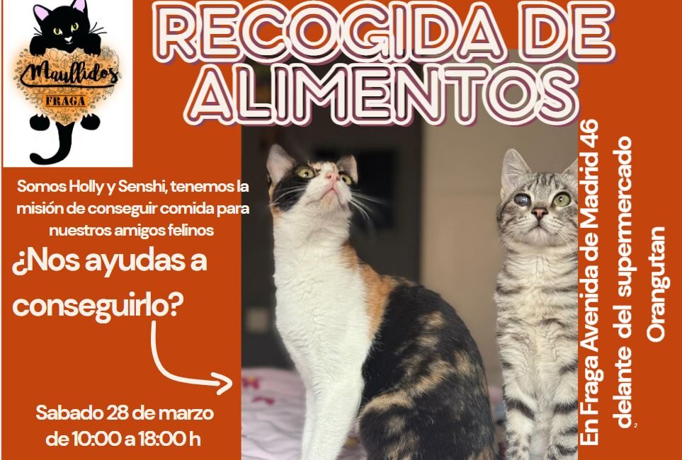 Recogida solidaria de alimentos de Maullidos Fraga este sábado 28 de marzo