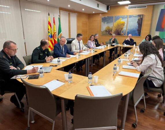 La Junta Local de Seguridad organiza el dispositivo de La Faldeta
