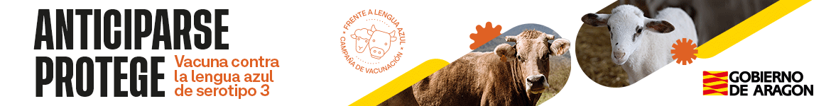 banner Lengua Azul 2026 H