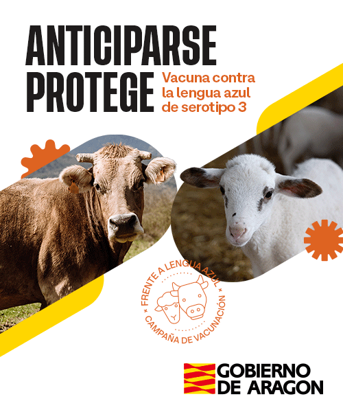 Banner lengua azul 2026 V