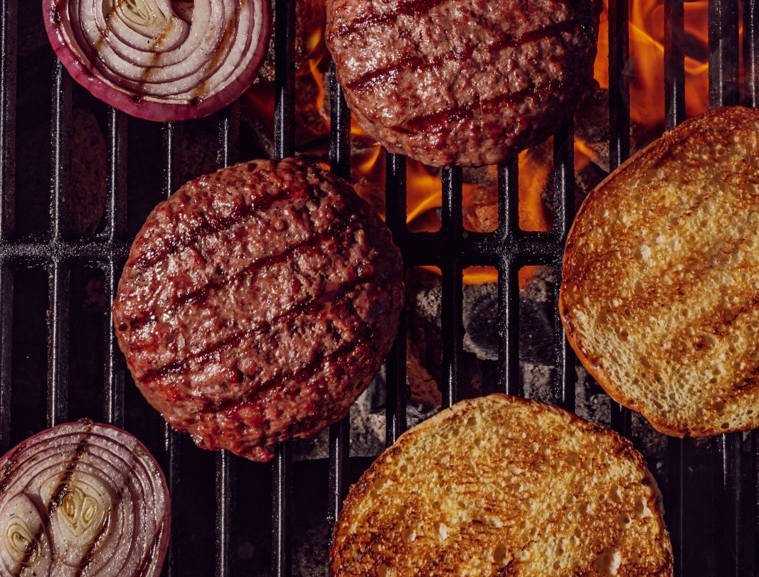 burguer orangutan web