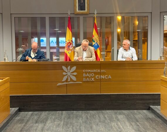 pleno extraordinario comarca