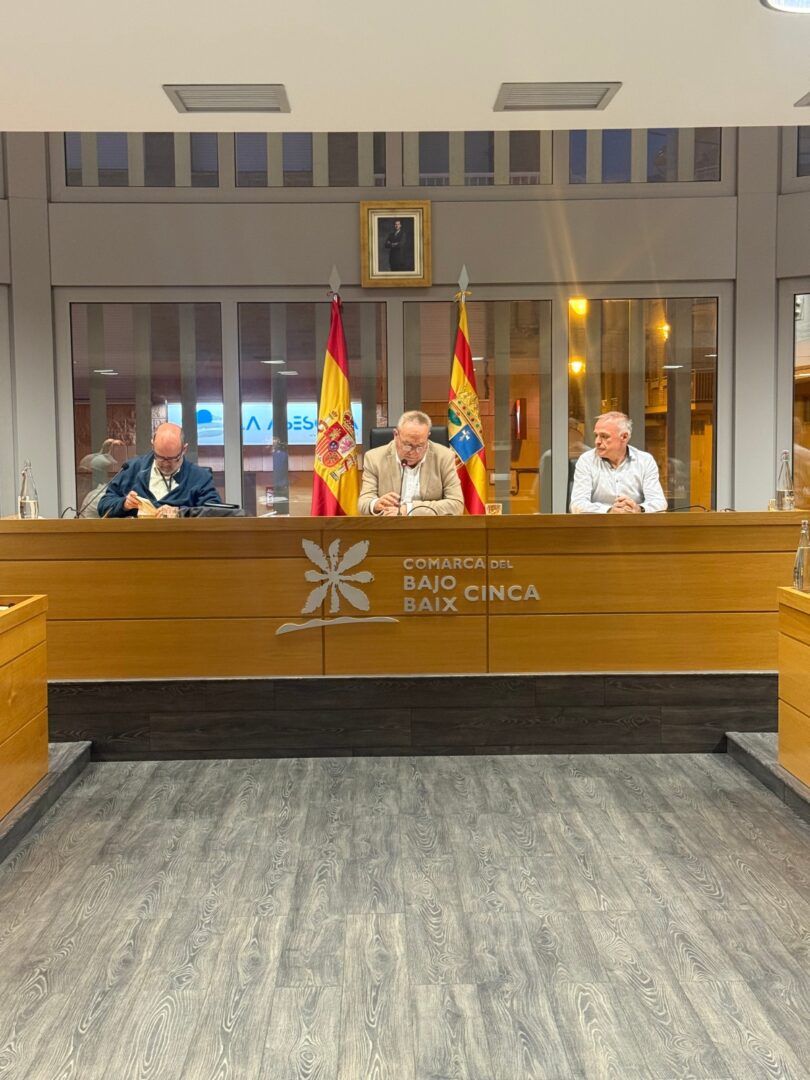 pleno extraordinario comarca