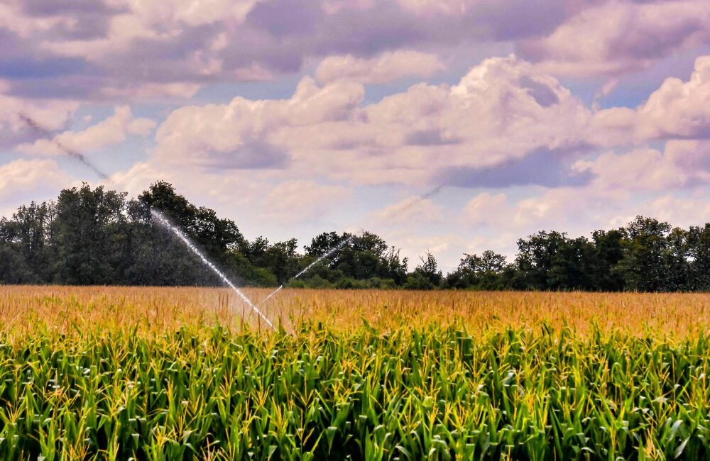 Esta empresa compra fincas en Bajo/Baix Cinca y Monegros, realizan valoración gratuita y sin compromiso