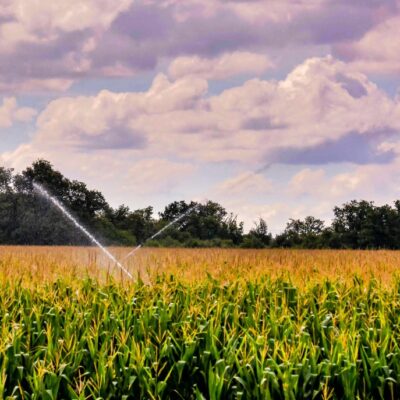 Esta empresa compra fincas en Bajo/Baix Cinca y Monegros, realizan valoración gratuita y sin compromiso