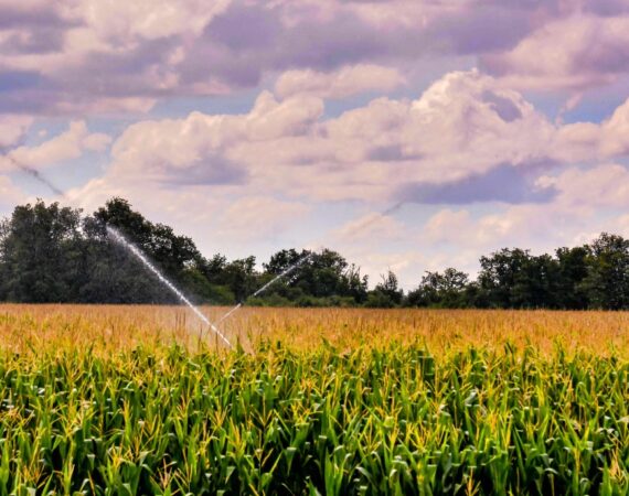 Esta empresa compra fincas en Bajo/Baix Cinca y Monegros, realizan valoración gratuita y sin compromiso