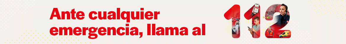 Banner 112 H