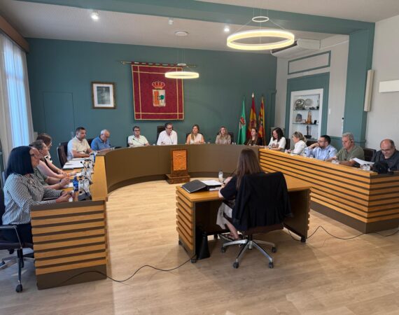 Pleno Mayo 2026