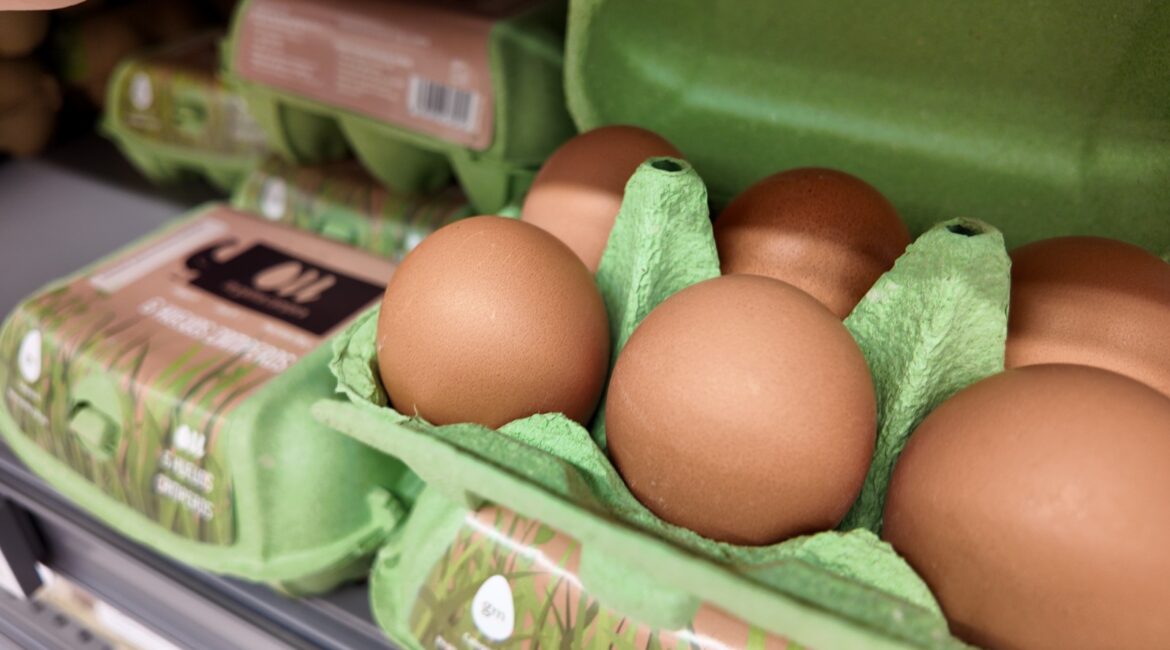 El precio de los huevos está por los suelos en Supermercados Orangután