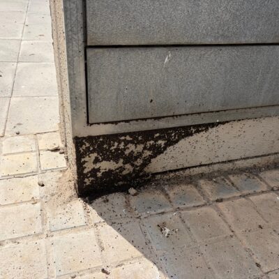 Posible plaga de insectos en el Barrio San Simón de Fraga