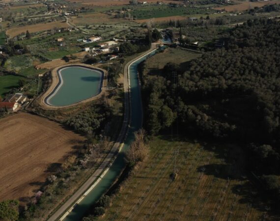 ¿Se puede vender una finca rústica si está arrendada? Fincas Contienente resuelve las dudas