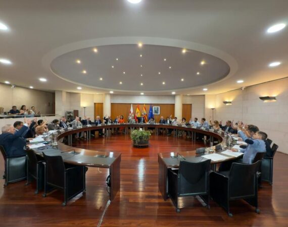 Plan Empleo DPH
