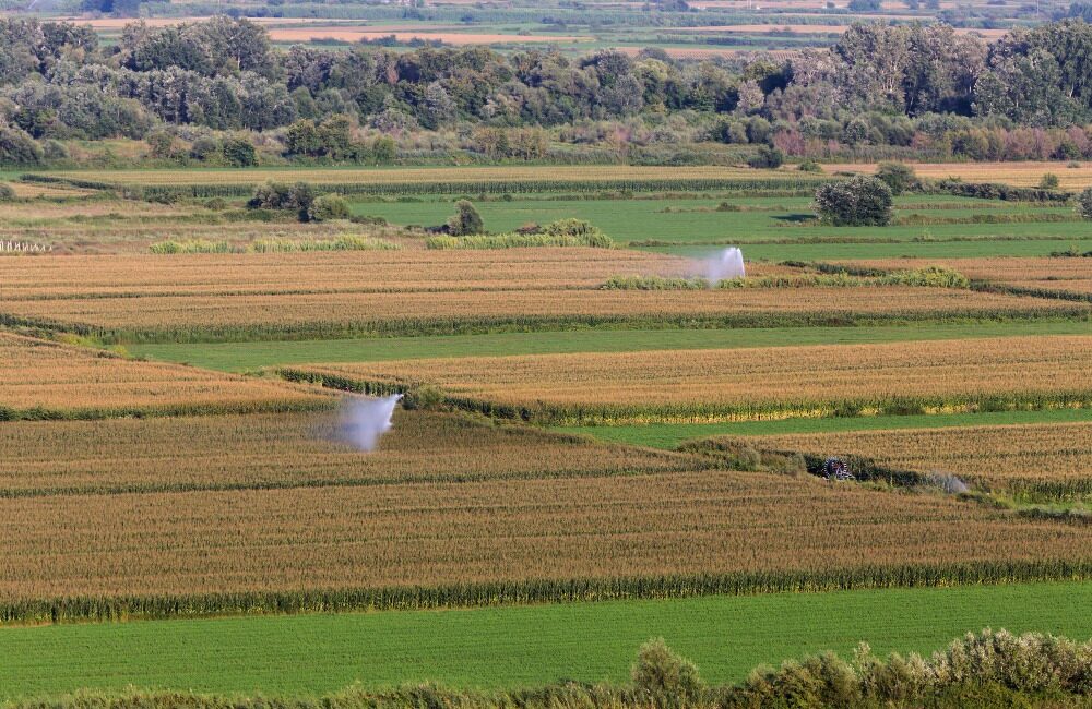 9 de septiembre, Día de la Agricultura: ¿Cuánto vale realmente una finca agrícola en Aragón en 2026?