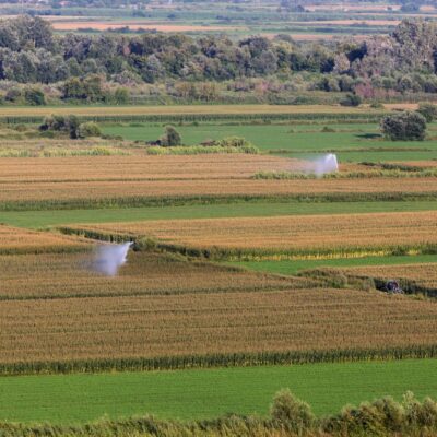 9 de septiembre, Día de la Agricultura: ¿Cuánto vale realmente una finca agrícola en Aragón en 2026?
