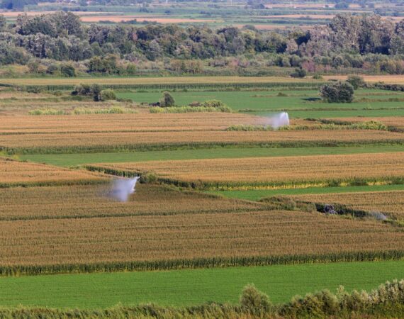 9 de septiembre, Día de la Agricultura: ¿Cuánto vale realmente una finca agrícola en Aragón en 2026?