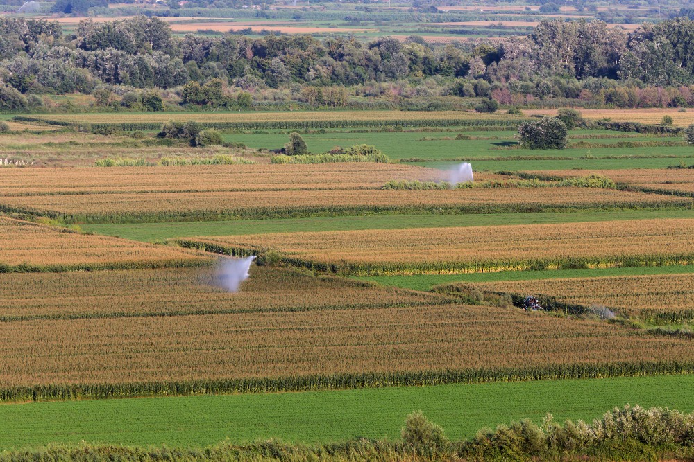 dia agricultura