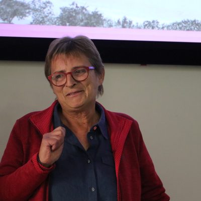 Así era la industria del regaliz en Mequinenza hace más de dos siglos