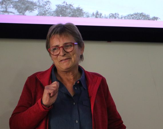 Así era la industria del regaliz en Mequinenza hace más de dos siglos